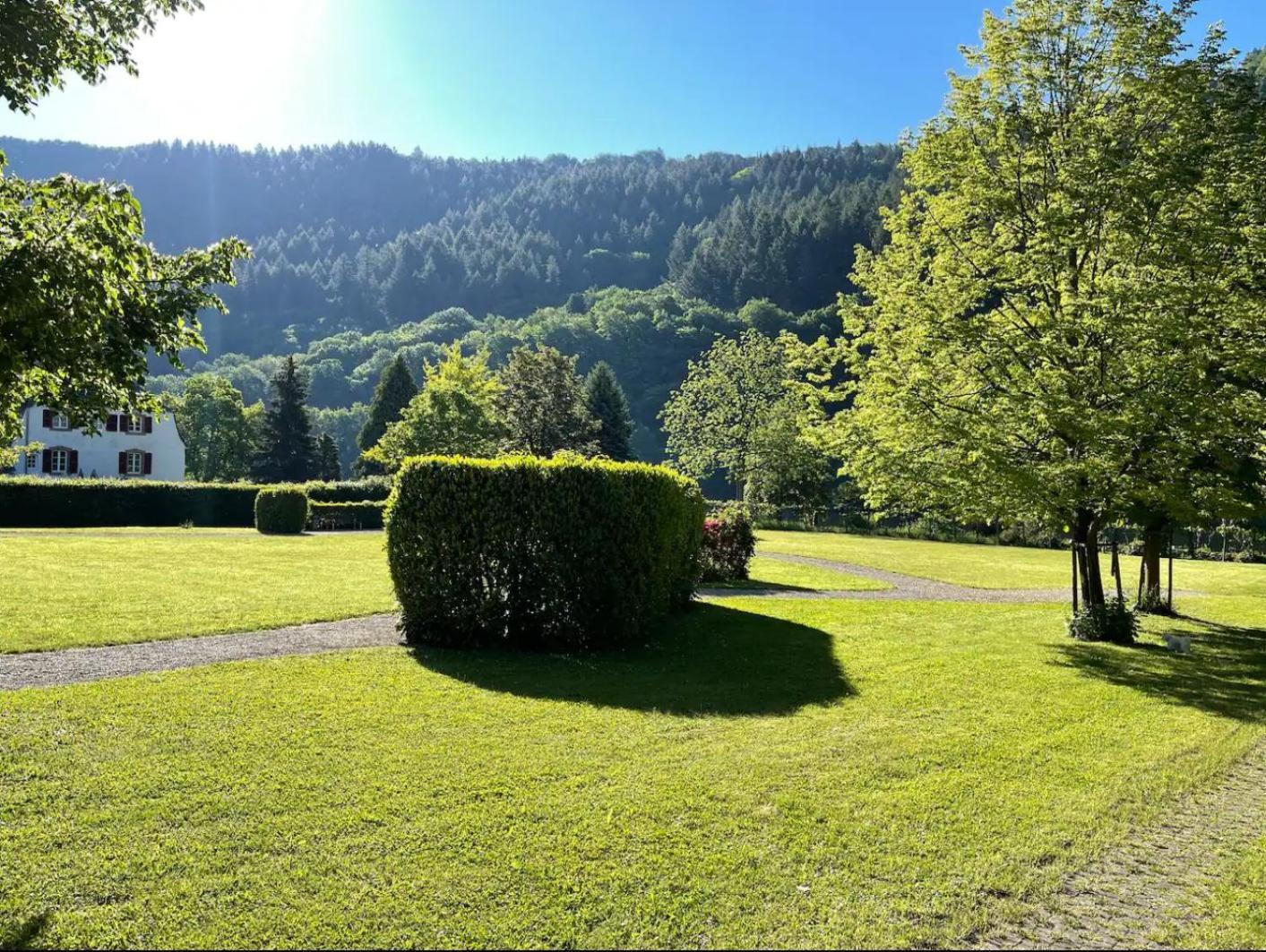 Penthouse Palais Mosel Daire Traben-Trarbach Dış mekan fotoğraf